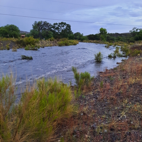 Meet your Posher, Christina - Picture 3 of 3